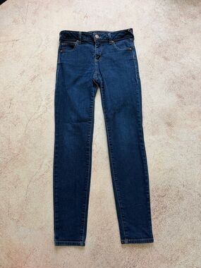 Ariat Indigo Skinny Jeans - Women's